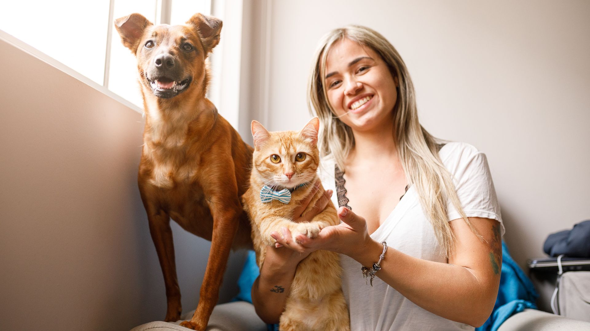 22 Essential Pet Meds Every Owner Should Have at Home